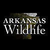Arkansas Wildlife