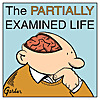 The Partially Examined Life Philosophy Podcast