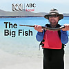 Big Fish Podcast