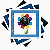 Scrapmee Collection