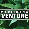 Marijuana Venture