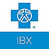 IBX Insights