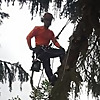 Arborist_fi