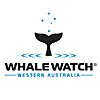 Whale Watch Western Australia
