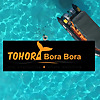Tohora Bora Bora Snorkeling Lagoon Tours & Whale Watching