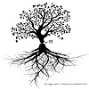 Making Permaculture Stronger