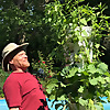 EVE Growing