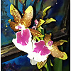 Orchids in Room