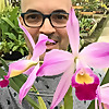 Taming The Orchid