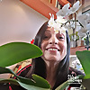 All About Orchids