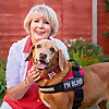 Evie Fox Red Labrador