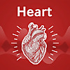 Heart podcast