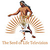 Seed of Life Television