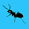 Ants Britania