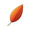 ArborBridge Blog