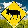 Moose Crossing