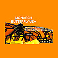 Monarch Butterfly USA