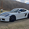 Everyday Exotics