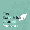  BJJ Podcasts 