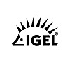 IGEL » Endpoint security