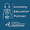 The Anatomy Education Podcast