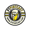 PT Pintcast