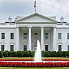 2020 Road to The White House