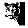 Wildlife Conservation Trust