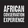 African Conservation Experience Blog 