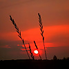 Night Fire Ranch Sorensen Family Farm