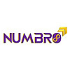 Numbro Consulting