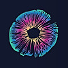 Psychedelics Today Blog