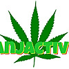 Ganjactivist.com