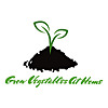 Grow Vegetables At Home