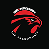 The Falcoholic