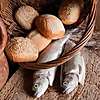 Jessel Kitchen 23:6 Studio
