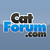 Cat Forum