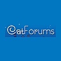 Cat Forums