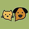 Pet Forums » Cat Chat