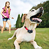 Pet Care Stores