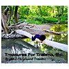 Treasures For Trauma