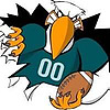 The Birds Blitz