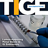 Techniques and Innovations in Gastrointestinal Endoscopy