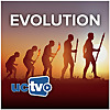 Evolution (Audio)