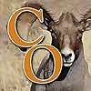 Colorado Outdoors Online » Turkey Hunting