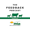 Meat & Livestock Australia's Feedback Podcast