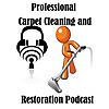 Professional Carpet Cleaners and Restorers