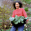 Karen Bussolini Garden Arts