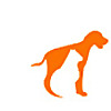 Pet Food Reviews
