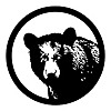 Backcountry Gallery